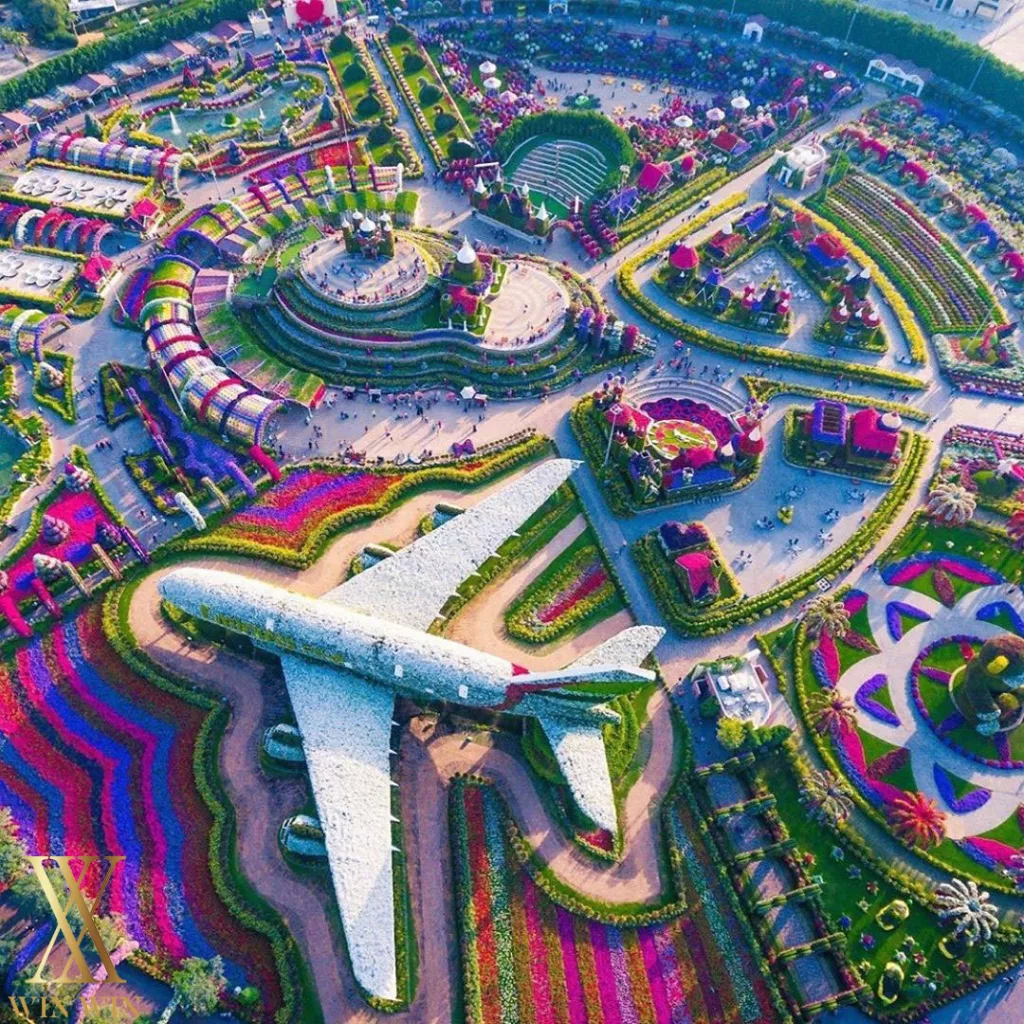 بهترین مکان های دبی برای پیاده روی و طبیعت کجاست؟