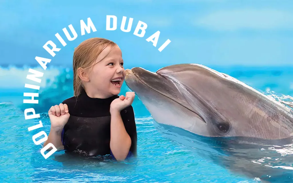 دلفیناریوم دبی کجاست