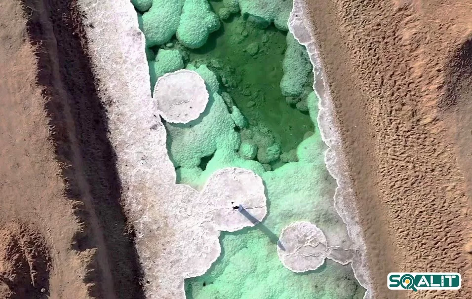 21 نقطه طبیعی زیبا در امارات که باید از آن دیدن کنید