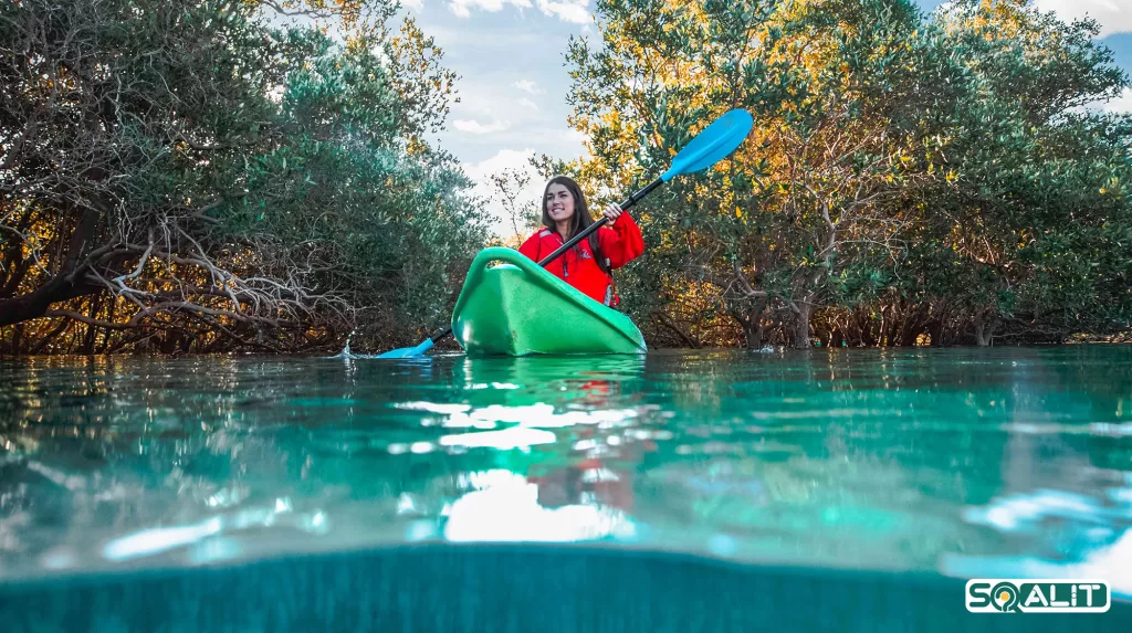 جنگل‌های حرا در امارات متحده عربی که از دیدن آن‌‌ها شگفت‌زده می‌شوید