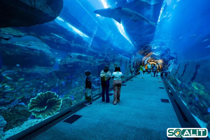 آکواریوم-دبی-2