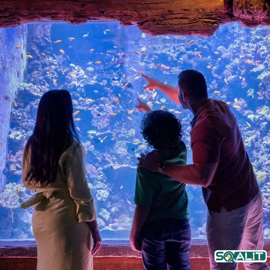 آکواریوم-ملی-در-ایوظبی