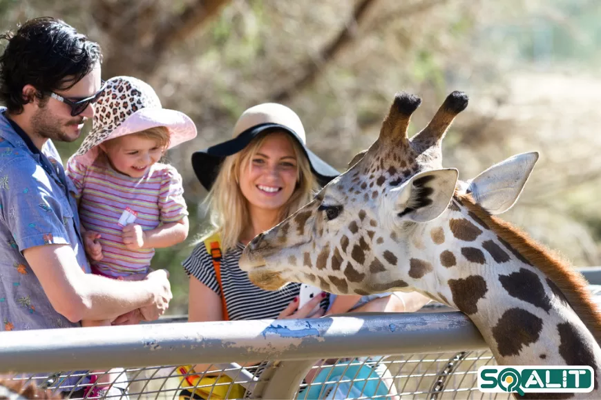 بهترین مراکز تفریحی امارات برای بازدید از حیوانات