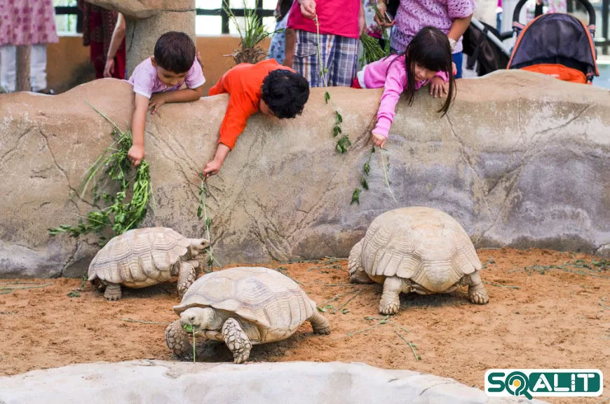 پارک-امارات