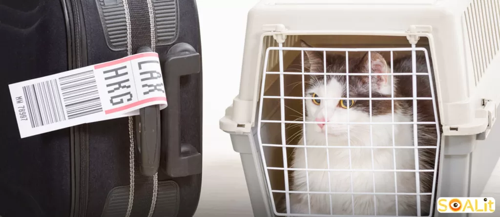 قوانین سفر حیوانات خانگی به امارات