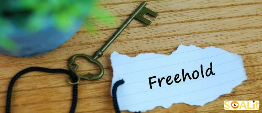 سرمایه گذاری در املاک عجمان