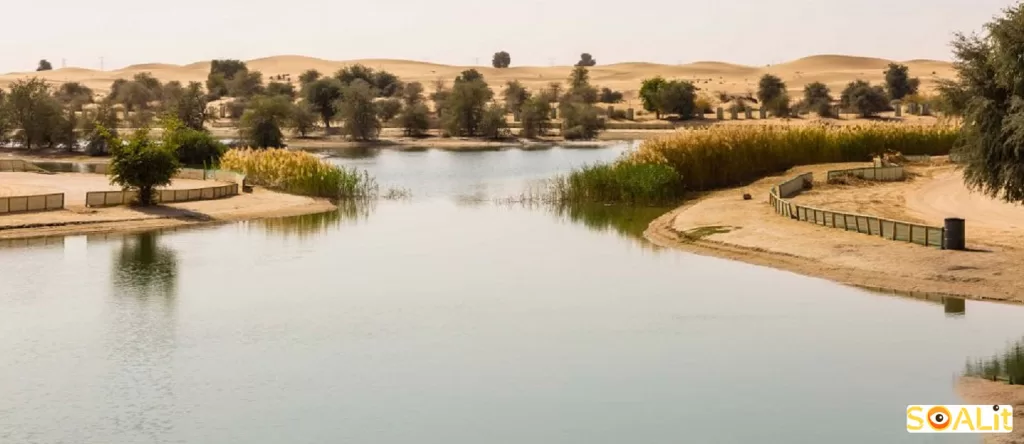 معرفی مکان های آرامش بخش دبی