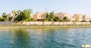 خرید ویلا در دبی؛ اسپرینگز یا ویلانوا؟